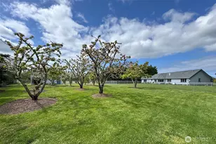 21 Donaper Rd, Sequim, WA 98382 - Photo 39