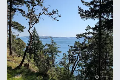 7537 Holiday Boulevard, Guemes Island, WA 98221 - Photo 13