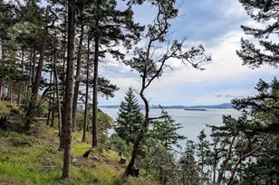 7537 Holiday Blvd, Guemes Island, WA 98221 - Photo 3