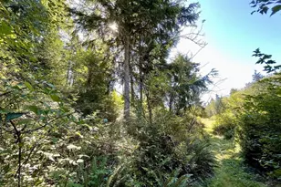 2497 Goss Ridge Rd, Freeland, WA 98249 - Photo 35