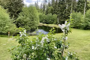 2497 Goss Ridge Rd, Freeland, WA 98249 - Photo 3