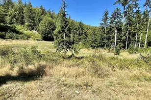 2497 Goss Ridge Rd, Freeland, WA 98249 - Photo 33