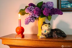 908 N 102nd, Seattle, WA 98133 - Photo 5