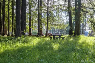 258 Antrim Rd, Winlock, WA 98596 - Photo 31