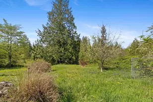 32920 Sultan Basin Rd, Sultan, WA 98294 - Photo 33