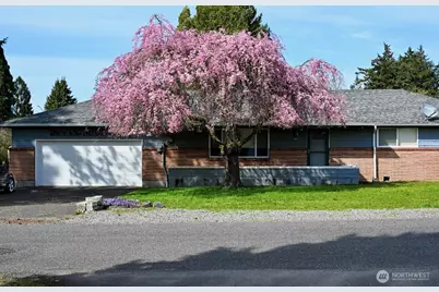 123 115th Street E, Tacoma, WA 98445 - Photo 3