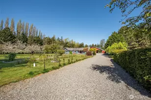113 Gold Dust Ln, Sequim, WA 98382 - Photo 5