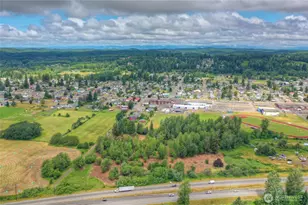 0 Old Wentzel Slough Rd, Elma, WA 98541 - Photo 1
