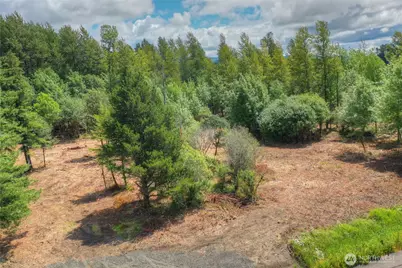 0 Old Wentzel Slough Road, Elma, WA 98541 - Photo 7