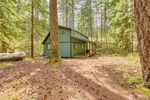 147 Northwoods Cabin, Cougar, WA 98616 - Photo 21