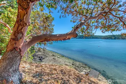 6998 Deer Harbor Road, Orcas Island, WA 98245 - Photo 5