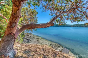 6998 Deer Harbor Rd, Orcas Island, WA 98245 - Photo 5