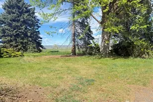 2493 Rd 19 NE, Soap Lake, WA 98851 - Photo 5