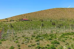 1522 Deer Vly Dr, Ellensburg, WA 98926 - Photo 37