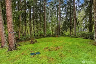 16316 245th St E, Graham, WA 98338 - Photo 33