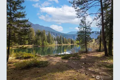 32 Freestone Lake Drive, Mazama, WA 98833 - Photo 5