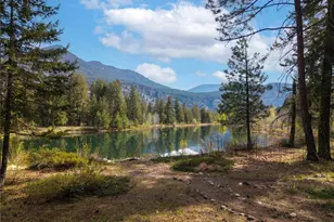32 Freestone Lake Dr, Mazama, WA 98833 - Photo 5