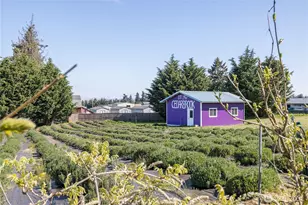 31 Brueckner Rd, Sequim, WA 98382 - Photo 27