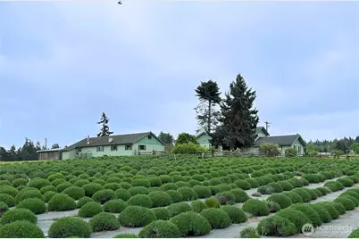 31 Brueckner Road, Sequim, WA 98382 - Photo 39