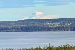 346 Buena Vis Wy, Brinnon, WA 98320 - Photo 35