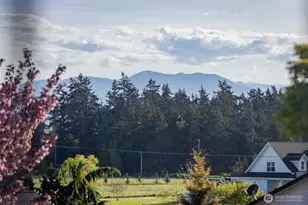 877 Medsker Rd, Sequim, WA 98382 - Photo 29