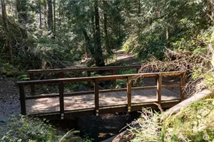 22530 Bluewater Dr SE, Yelm, WA 98597 - Photo 33