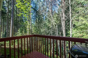 22530 Bluewater Dr SE, Yelm, WA 98597 - Photo 27