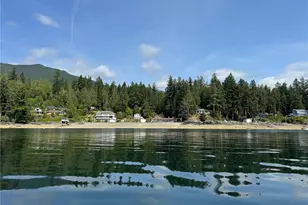 160 N Triton Head Dr, Lilliwaup, WA 98555 - Photo 17