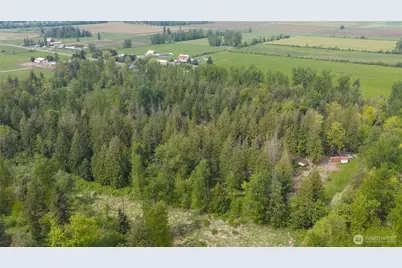 2165 E Badger, Everson, WA 98247 - Photo 3