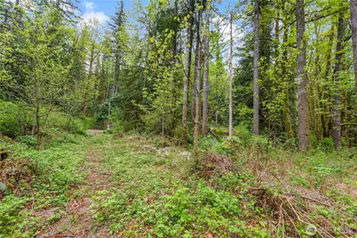 51223 195th Place SE, Index, WA 98256 - Photo 13
