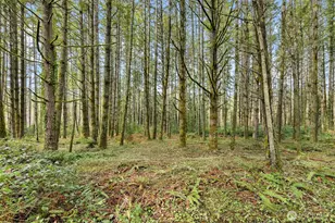 0 Sands Ave NE, Bainbridge Island, WA 98110 - Photo 13