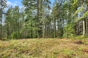 0 Sands Ave NE, Bainbridge Island, WA 98110 - Photo 11