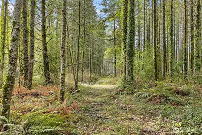 0 Sands Avenue NE, Bainbridge Island, WA 98110 - Photo 19
