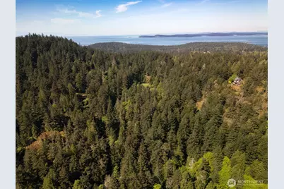 14711 Sky Island Lane, Anacortes, WA 98221 - Photo 13