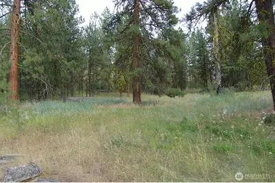 21 Deer Ridge Road, Tonasket, WA 98855 - Photo 11