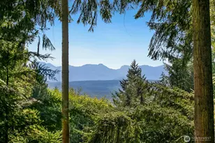 1445 293rd Ave NE, Carnation, WA 98014 - Photo 1