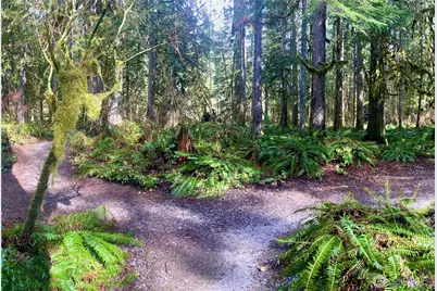 10500 Mount Baker Highway #307, Glacier, WA 98244 - Photo 9