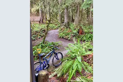 10500 Mount Baker Highway #307, Glacier, WA 98244 - Photo 19