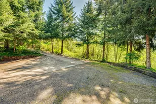 229 Prospect Rd, Woodland, WA 98674 - Photo 9