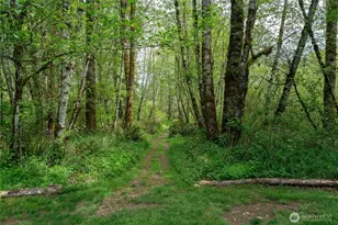 6031 139th Ln SW, Rochester, WA 98579 - Photo 35