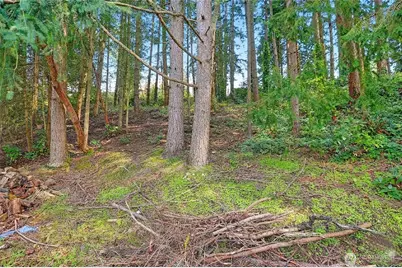 17810 Olympic View Drive, Edmonds, WA 98026 - Photo 3