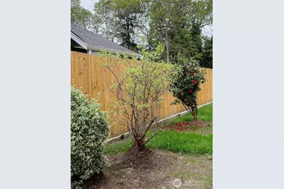 210 166th Street E, Spanaway, WA 98387 - Photo 29