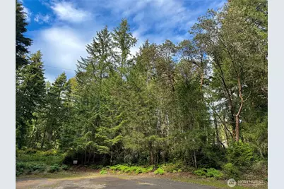 12027 Country Club Drive, Anderson Island, WA 98303 - Photo 1