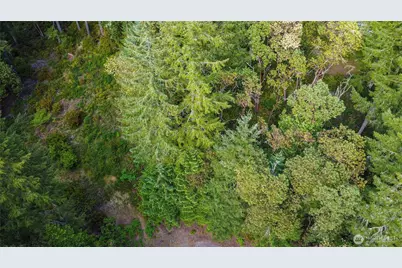 12027 Country Club Drive, Anderson Island, WA 98303 - Photo 3