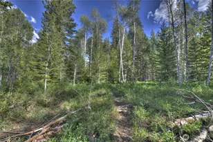 19 2 Rivers Rd, Mazama, WA 98833 - Photo 37