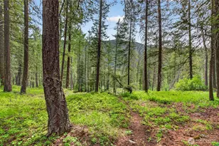 19 2 Rivers Rd, Mazama, WA 98833 - Photo 23