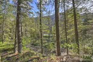 19 2 Rivers Rd, Mazama, WA 98833 - Photo 33