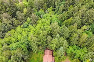 7229 Gallagher Cove Rd NW, Olympia, WA 98502 - Photo 33