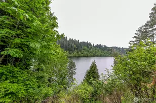 40420 Ski Park Rd E, Eatonville, WA 98328 - Photo 35