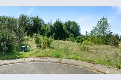 0 Lot 13 Curlew Court, Hoquiam, WA 98550 - Photo 3